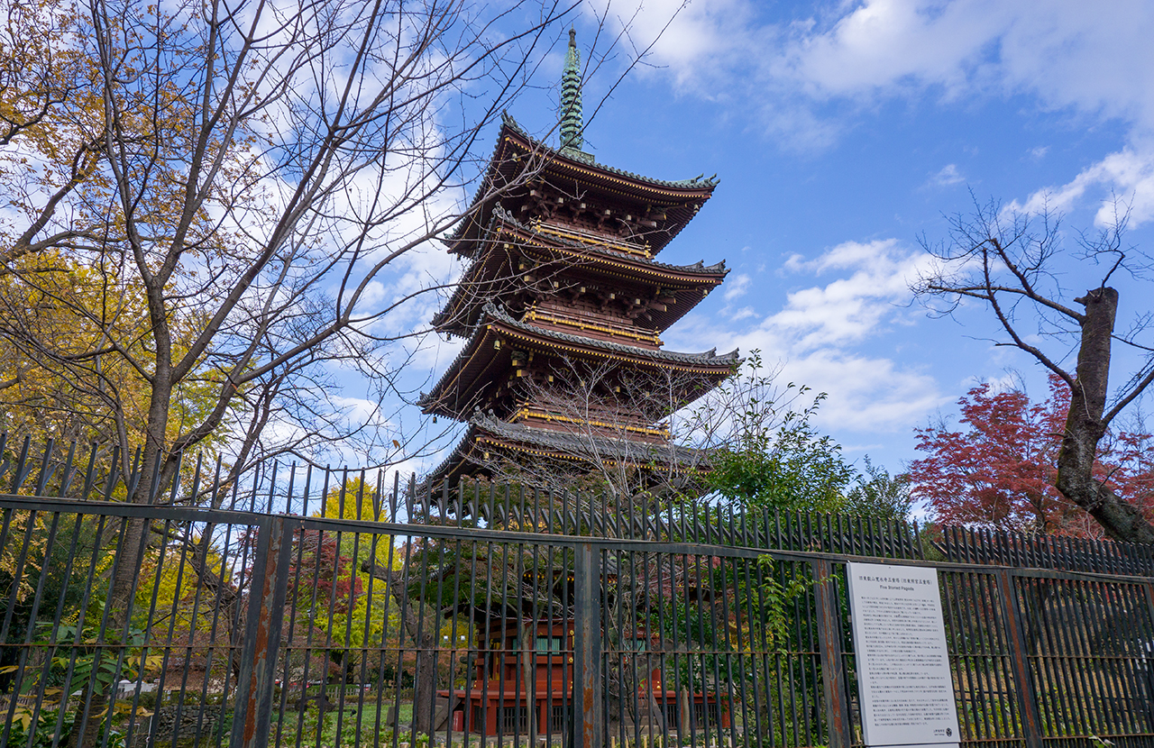 旧寛永寺の五重塔