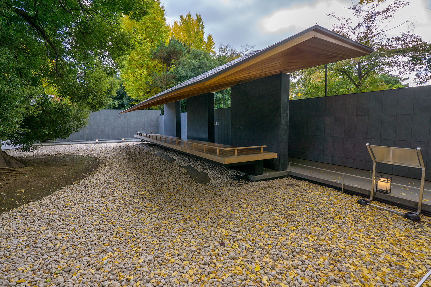 背面の壁からみえる屋根の元になった銀杏の木