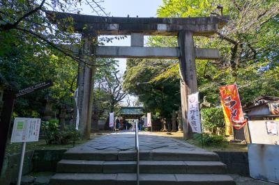 上野東照宮 大石鳥居