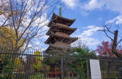 上野東照宮 旧寛永寺の五重塔