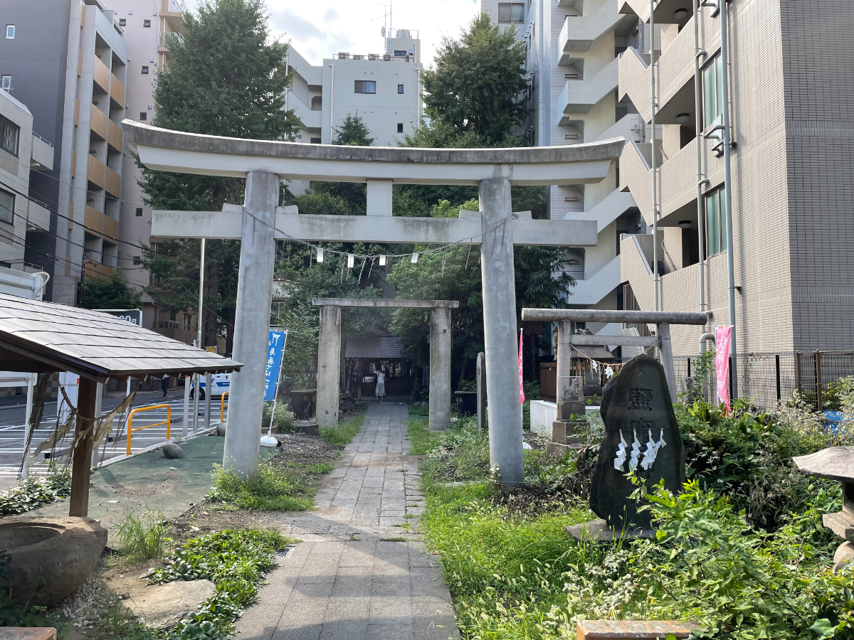 鳥居と参道
