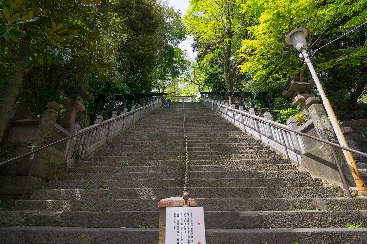 港区愛宕神社 見上げた出世の石段
