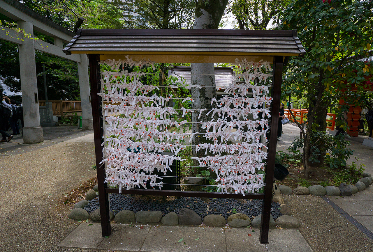 港区愛宕神社 おみくじ掛け所