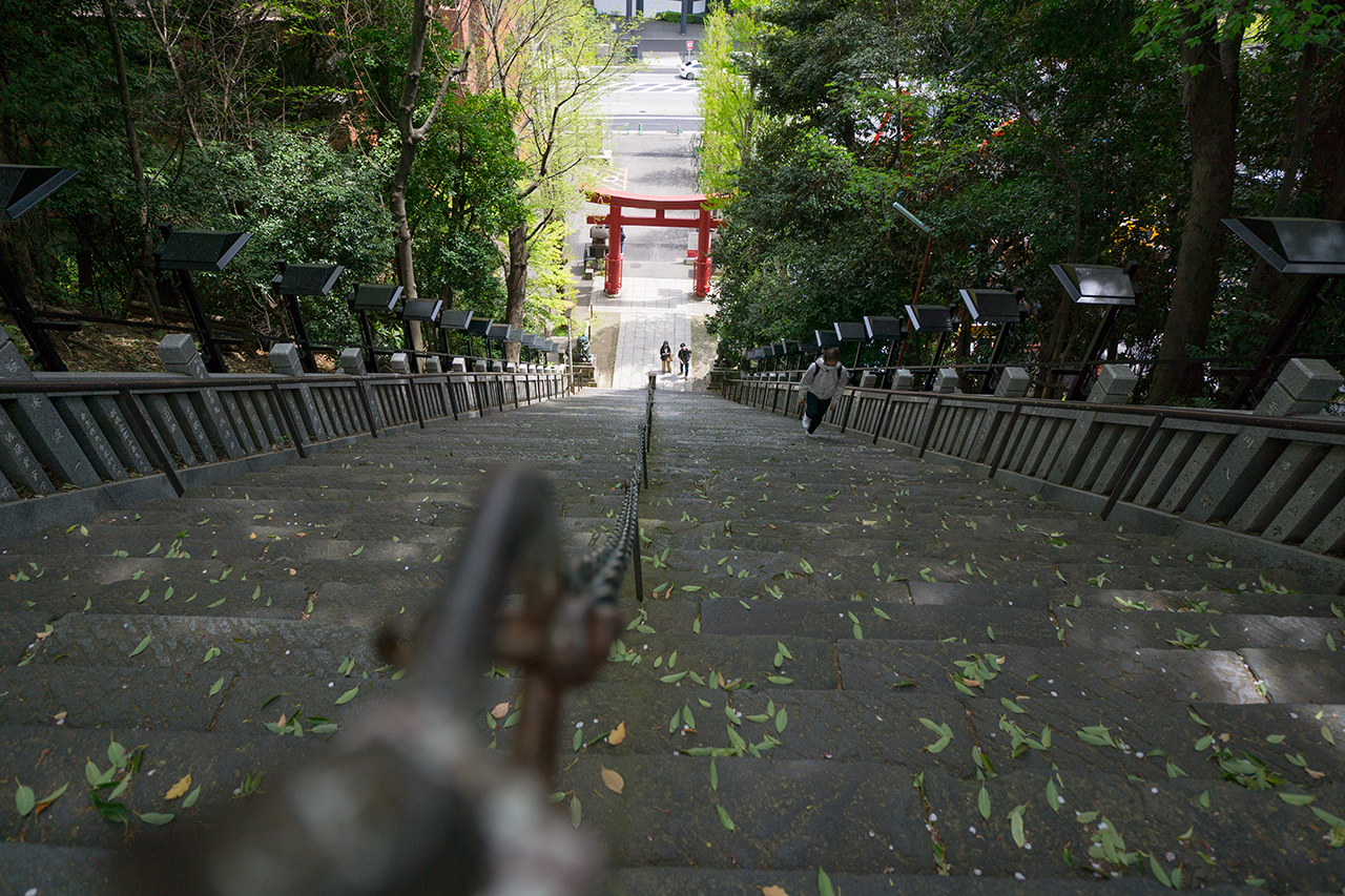 港区愛宕神社 見下ろした出世の石段