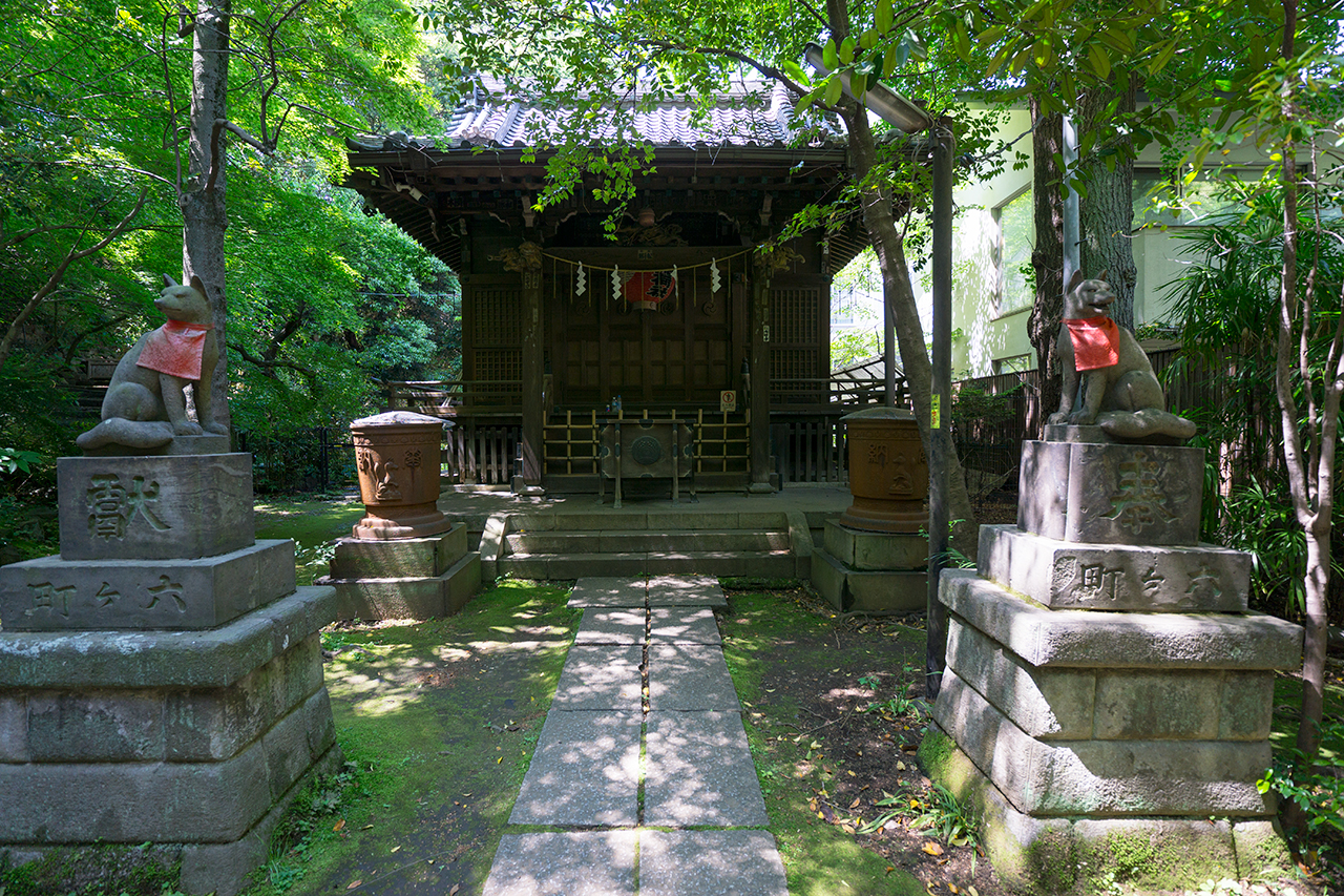 赤坂氷川神社 四合稲荷の狛狐と社殿