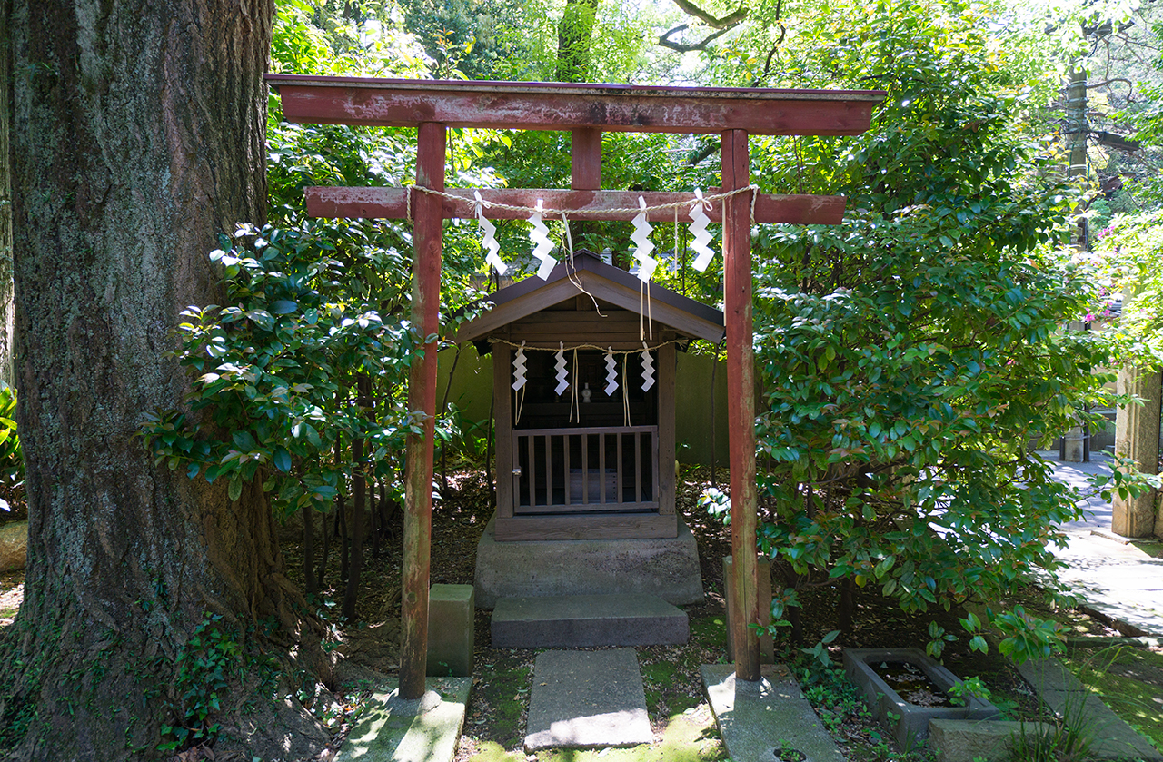 桶新稲荷の鳥居と社殿