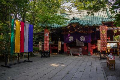 赤坂氷川神社 例祭の時期の拝殿