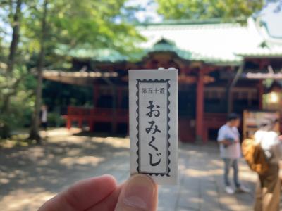 赤坂氷川神社 おみくじと社殿