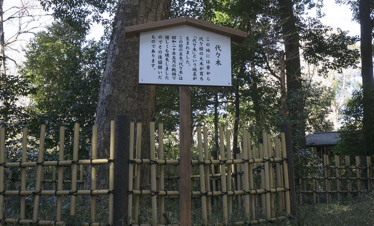 代々の樅の木看板