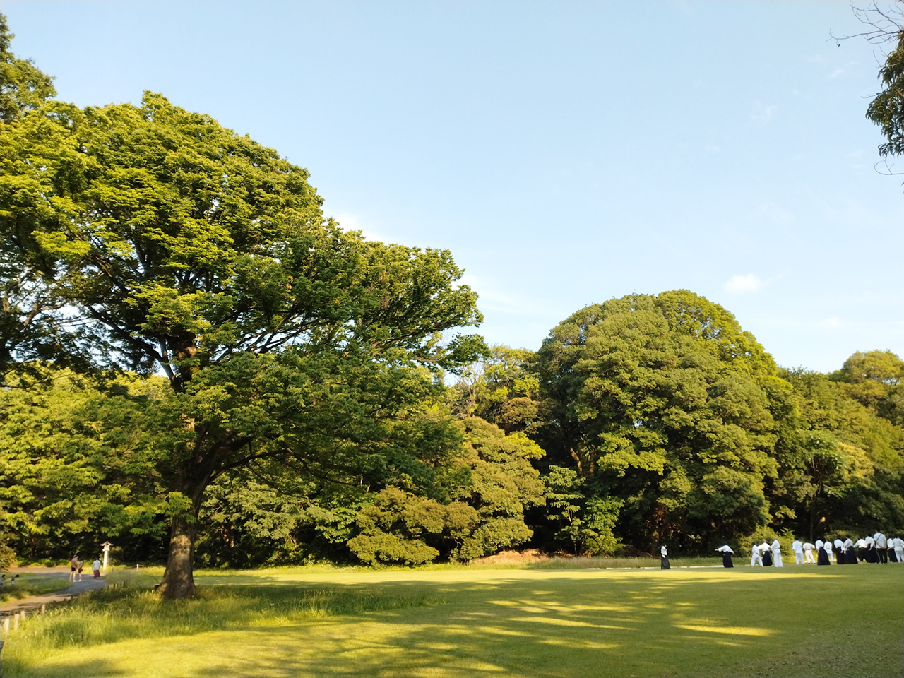 芝生広場のイベント