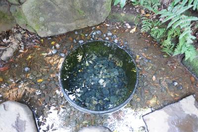 明治神宮 清正井