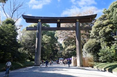 明治神宮 日本一の大鳥居(第二の鳥居)