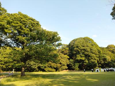 明治神宮 芝生広場のイベント