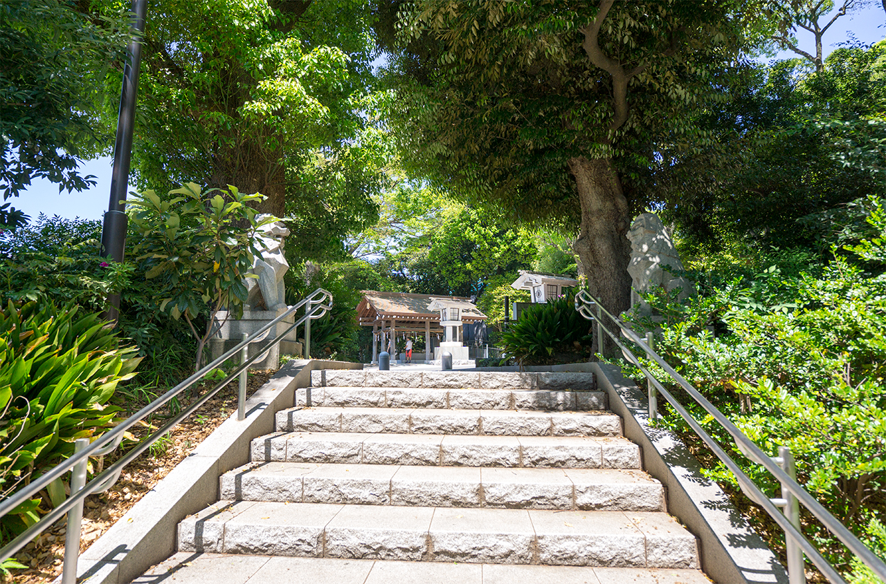 石段の上の狛犬