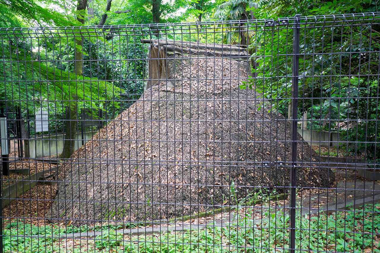 代々木八幡遺跡