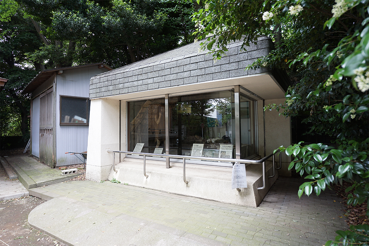 代々木八幡遺跡出土品陳列館
