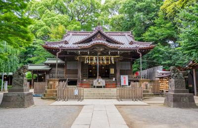 代々木八幡宮 拝殿