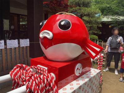 代々木八幡宮 金魚神輿