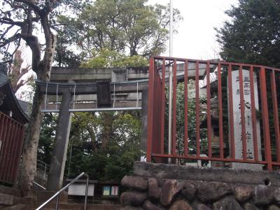 上高田氷川神社 鳥居