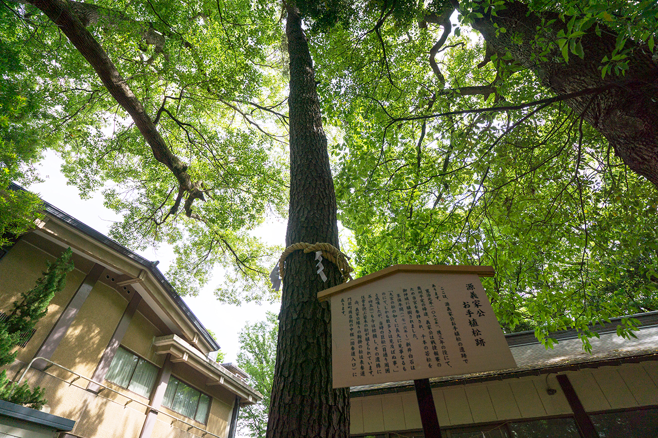 義家公手植松跡
