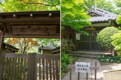 大宮八幡宮 通仙庵・神泉亭