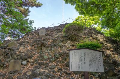 品川神社 案内版から見上げた富士塚