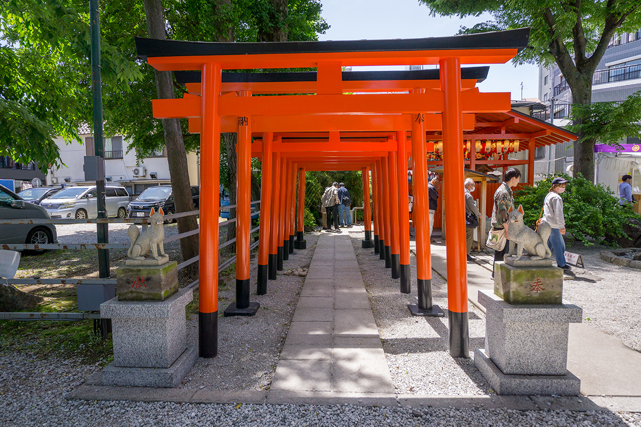 法密稲荷社 鳥居