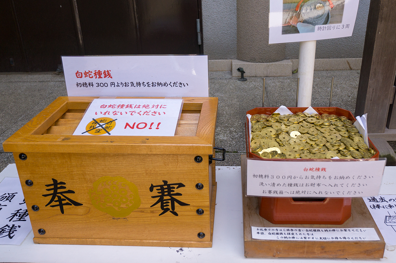 白蛇種銭