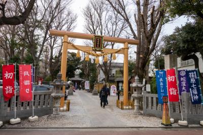蛇窪神社 鳥居と拝殿