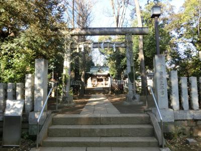 八雲氷川神社 鳥居と拝殿