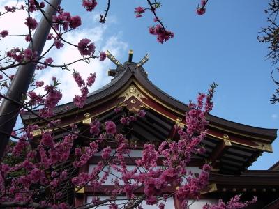 薭田神社 本殿と梅
