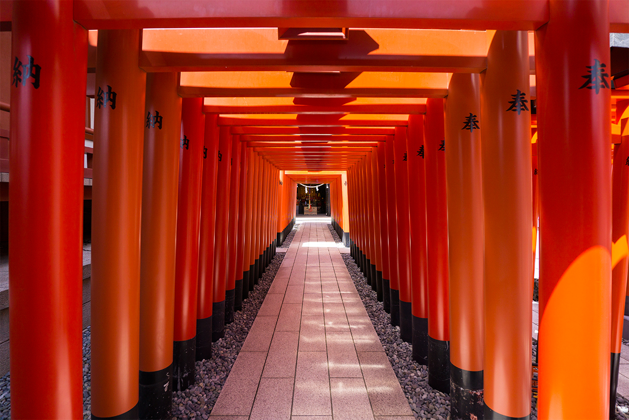 千本鳥居の途中