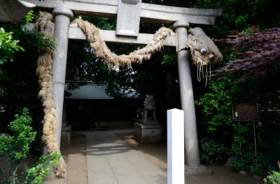 奥澤神社 鳥居と拝殿