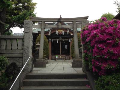 白鬚神社 拝殿