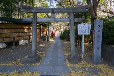 富岡八幡宮 七渡神社の鳥居と参道