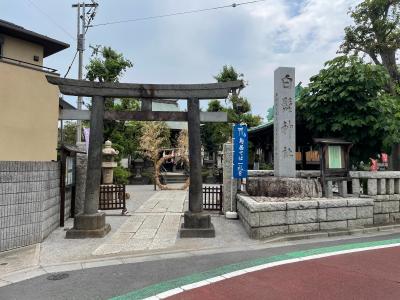 白髭神社 鳥居