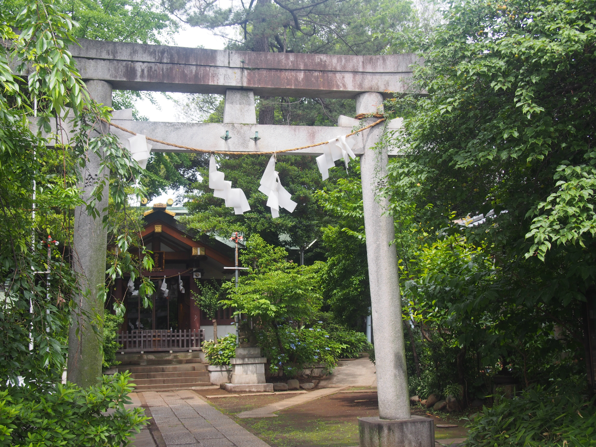 鳥居と社殿