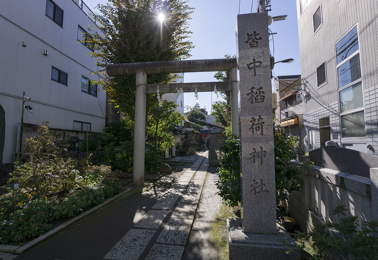 社号標と鳥居