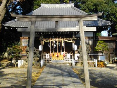 平塚神社 鳥居と拝殿