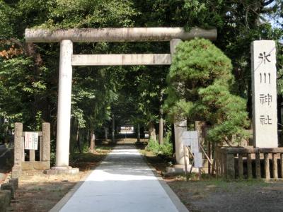 氷川神社 鳥居