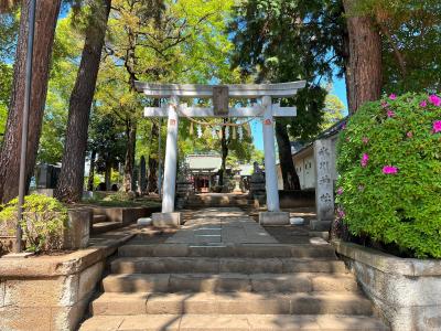 豊玉氷川神社 拝殿
