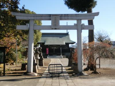 氷川神社 鳥居と拝殿