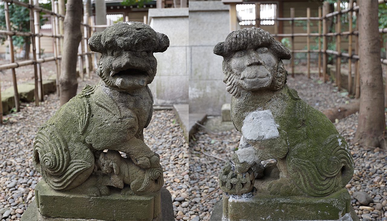 巽神社の狛犬