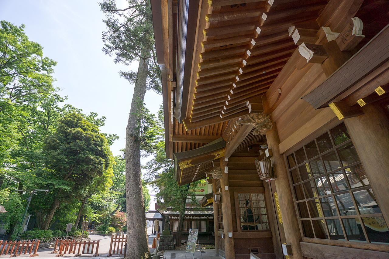 大國魂神社の七不思議 樅の雫