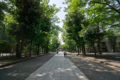 大國魂神社 参道並木