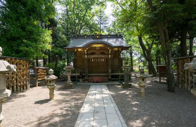 大國魂神社 宮乃咩神社の鳥居と社殿