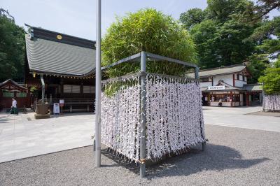 大國魂神社 大國魂神社の七不思議 矢竹の根