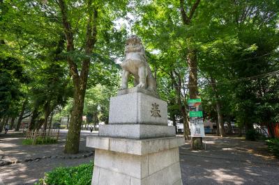 大國魂神社 狛犬