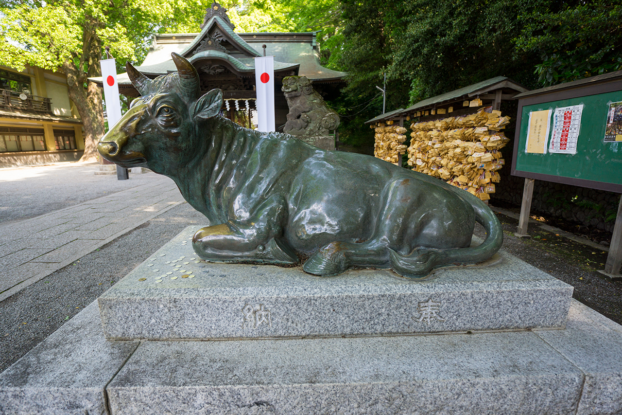 座牛・撫牛 | 谷保天満宮 - 神社ファン