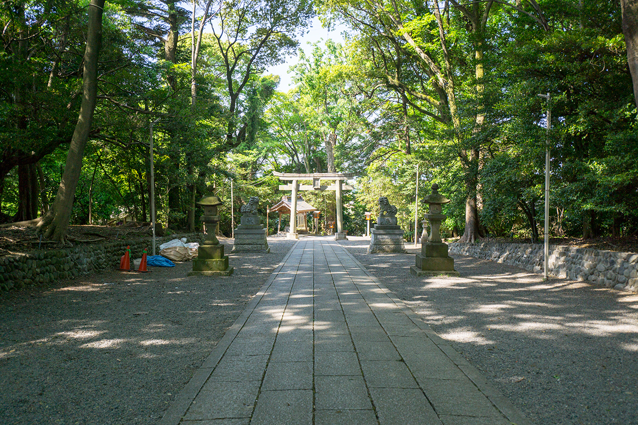 谷保天満宮 境内の社叢